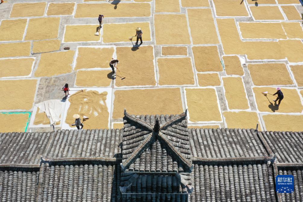 环亚客服电话